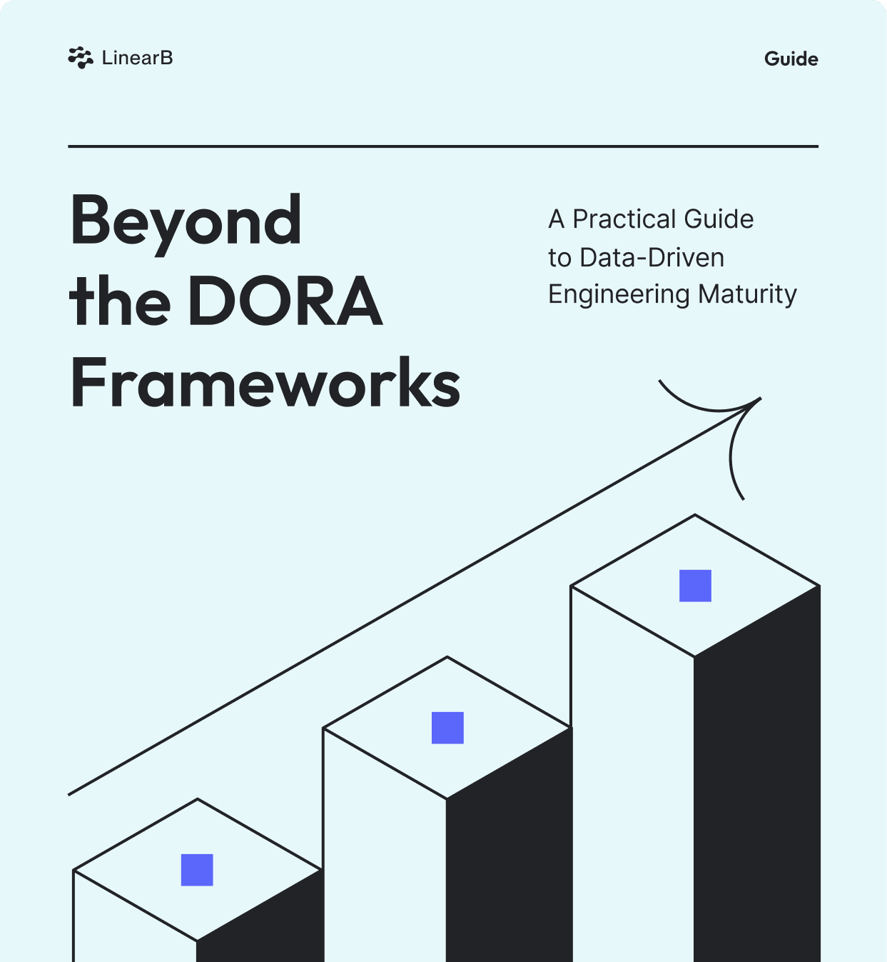 Cover image of Beyond the DORA Frameworks Guide