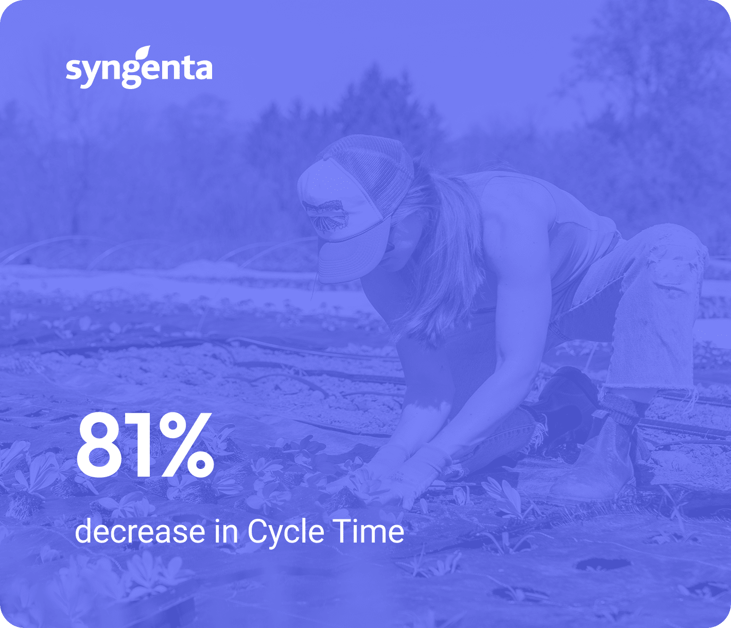 Syngenta: 81% decrease in Cycle Time