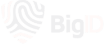 BigID logo 1