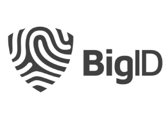 Big ID Logo