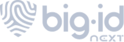 BigID logo