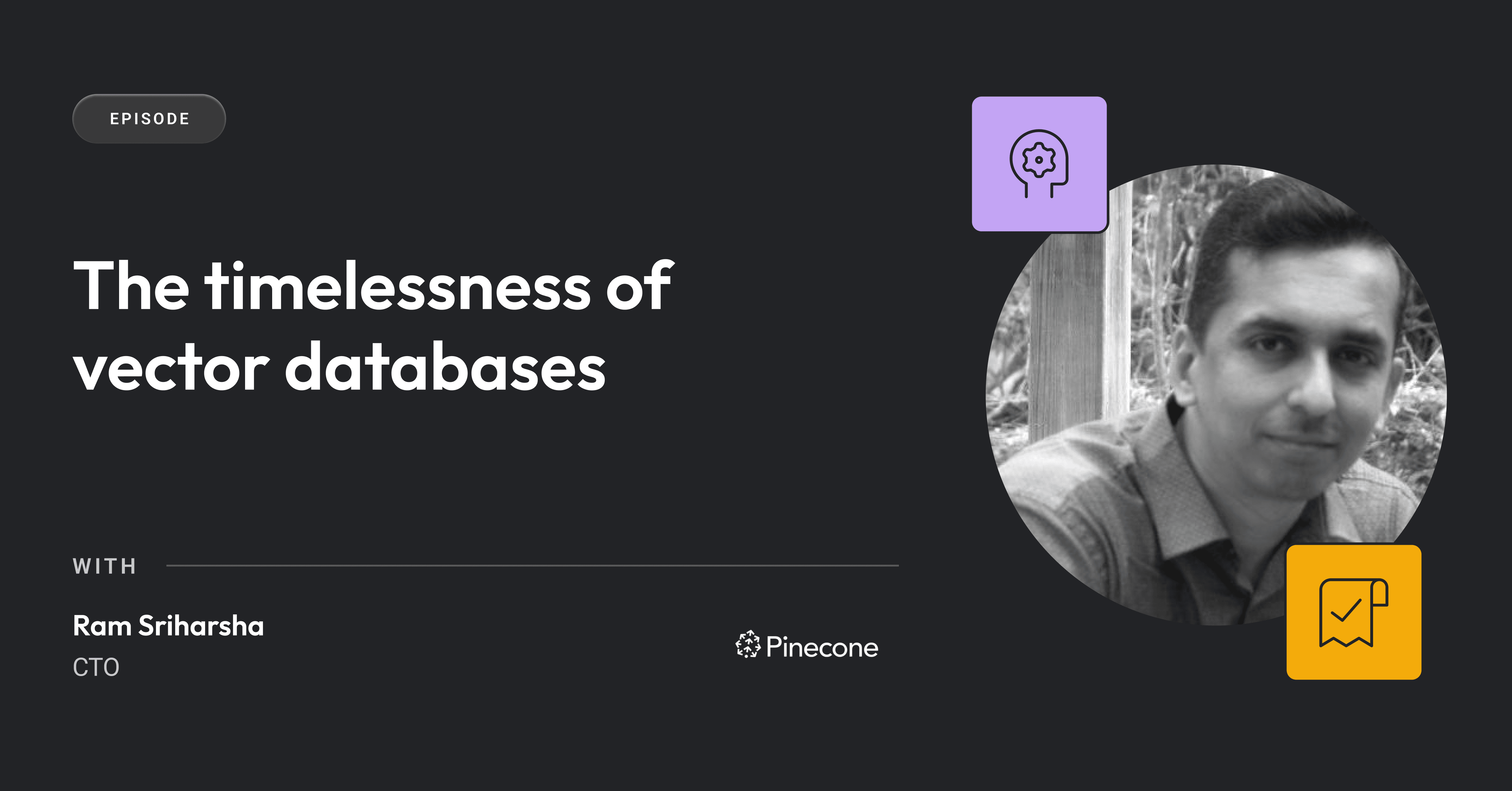 The timelessness of vector databases | Dev Interrupted Powered by LinearB