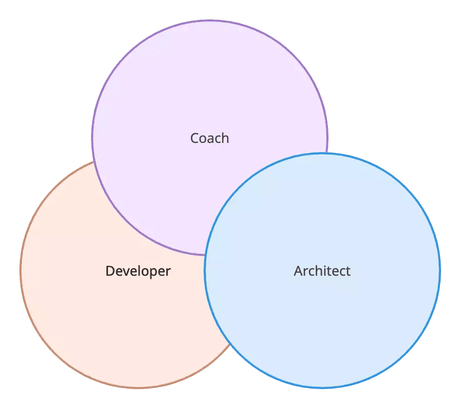 understanding software team leads circle image