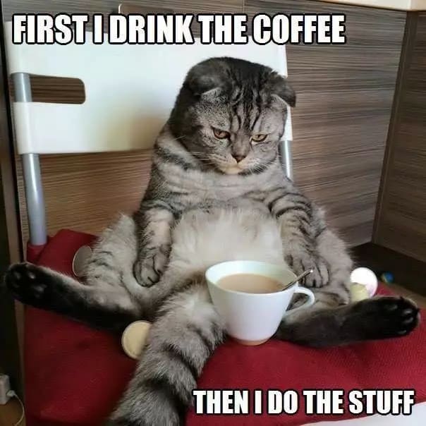 First I drink the coffee, then I do the stuffs  Cat