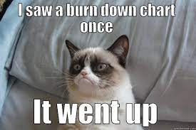 Grumpy cat meme saying "I saw a burn down chart once, it went up", talking about the Burn Up scrum report. 